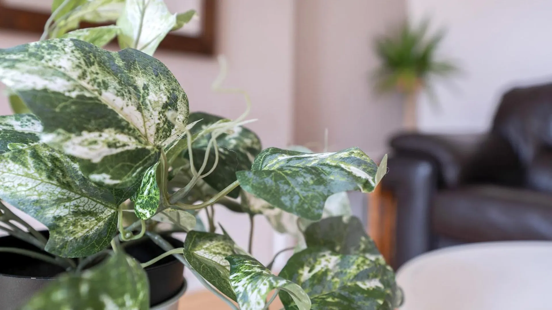 Gorgeous, Cozy 2Br Royal Mile-Old Town Apartment Edinburgh
